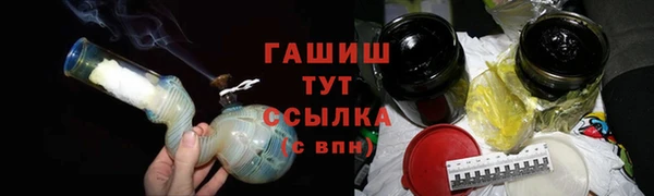 индика Приозерск