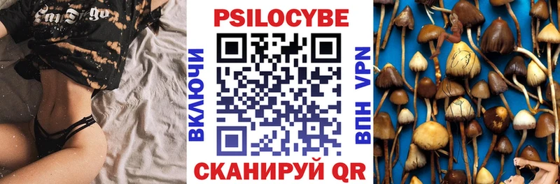ссылка на мегу маркетплейс  Бодайбо  Галлюциногенные грибы Magic Shrooms  наркошоп 